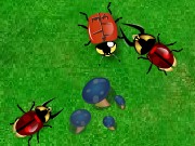 按我玩昆蟲小遊戲-甲蟲王者之戰